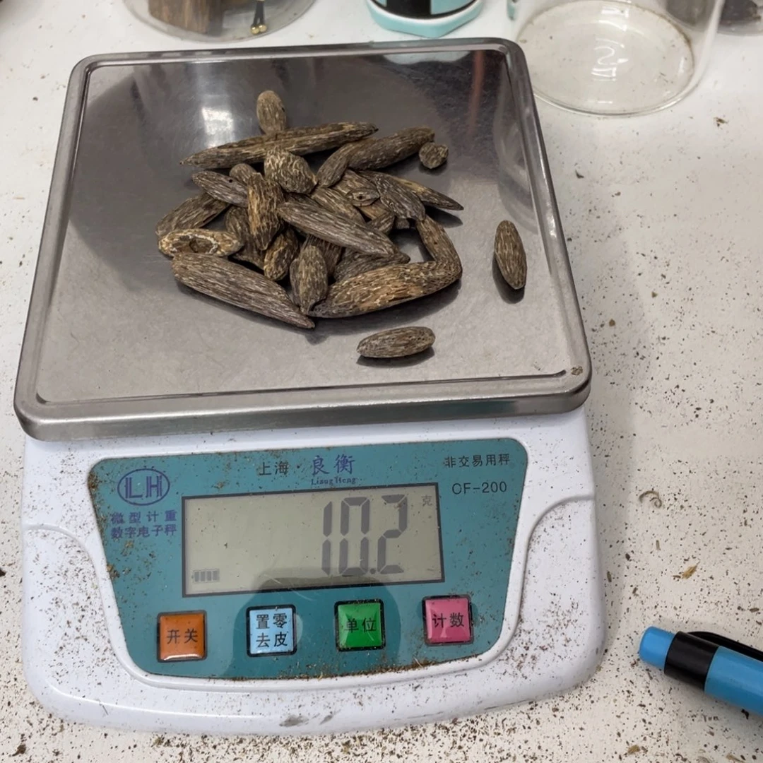 沉香摆件这**哥海南沉香熏香块料10克