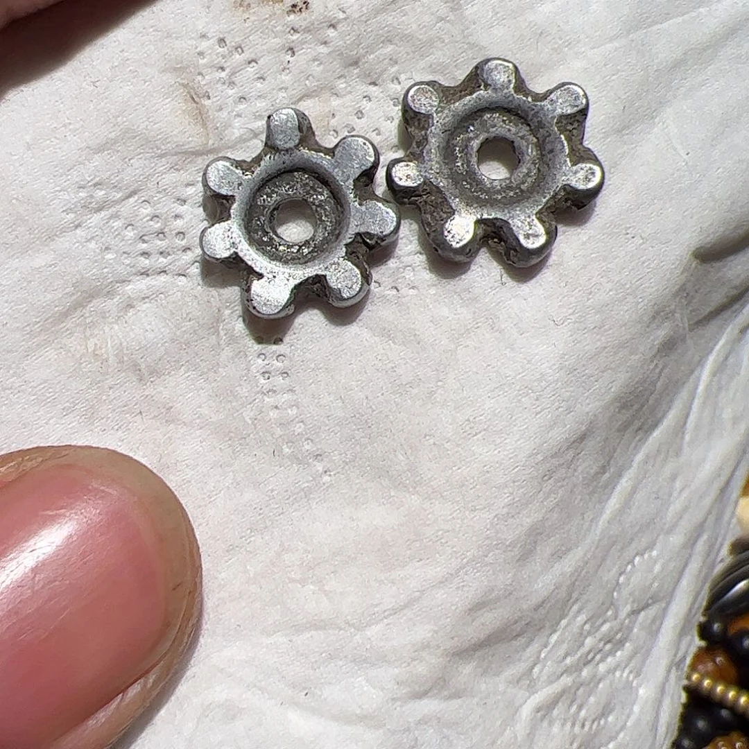 香榧木在这里我就