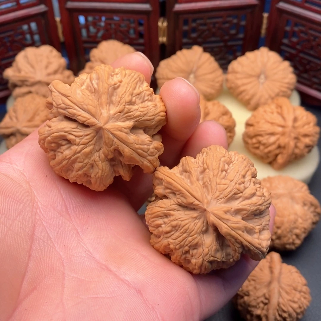 核桃手串/手链粗筋46+全品