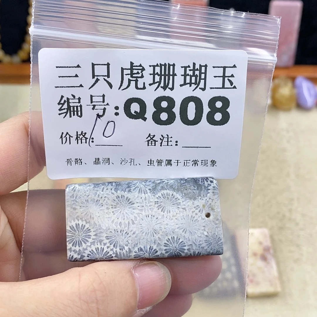 硅化珊瑚（珊瑚玉）1未镶嵌小***朝