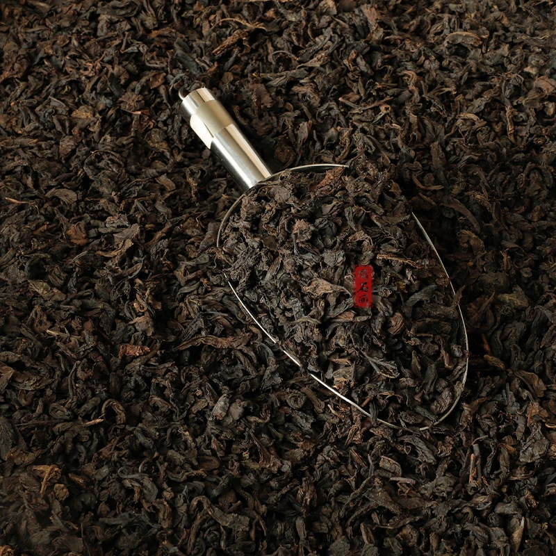 广西梧州六堡茶去湿黑茶2008年陈化糯云香老六堡茶 品鉴装茶样8克