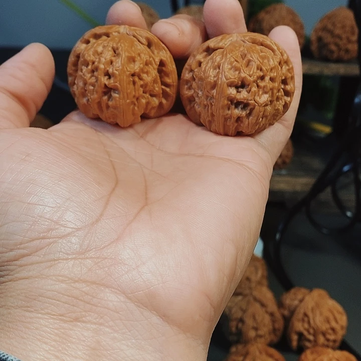 40白狮子红皮果骨质嘎嘎好