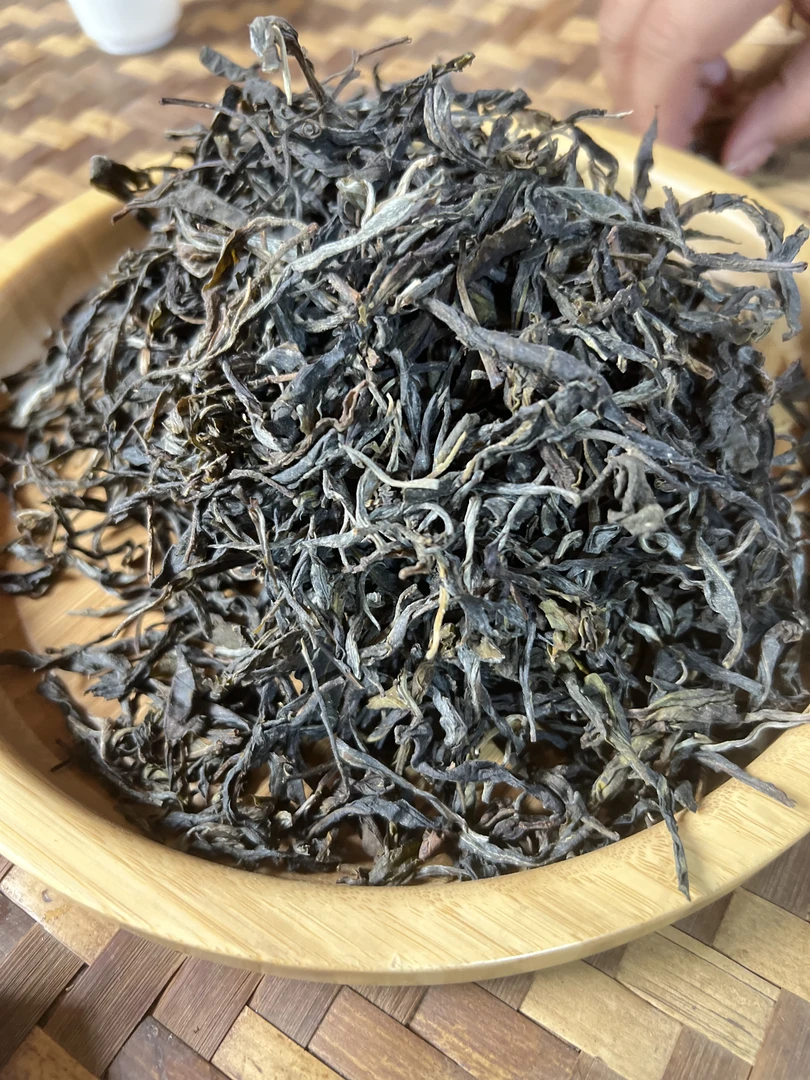 2024年绿水塘春古树100克生茶 杨明波  直播2025.2.17 （12）