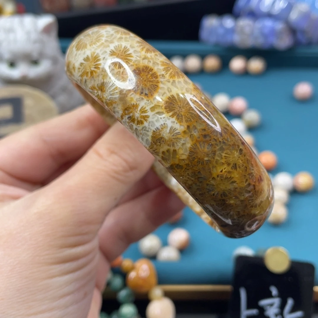 未镶嵌手镯硅化玉