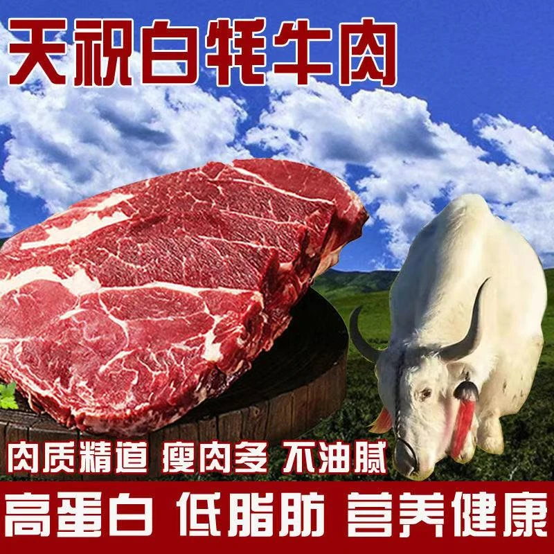 【天祝白牦牛 牛脖子】高原散养炖煮煎烤 原切无添加 健康肉食优选