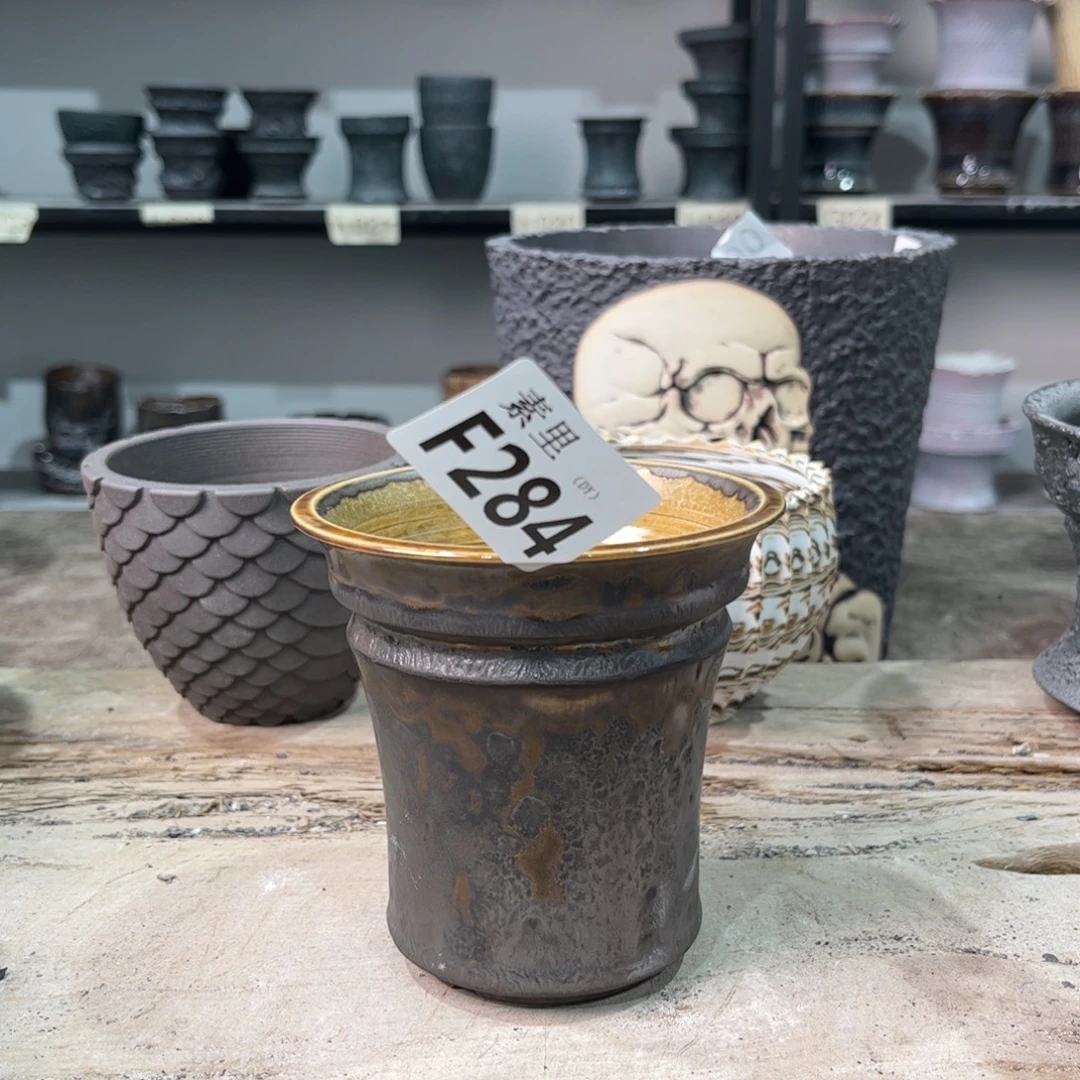 内口9.3高10景德镇