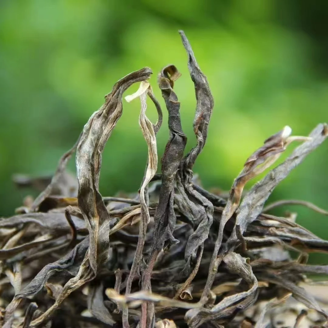 景迈古树茶（500克）（120年老树茶）
