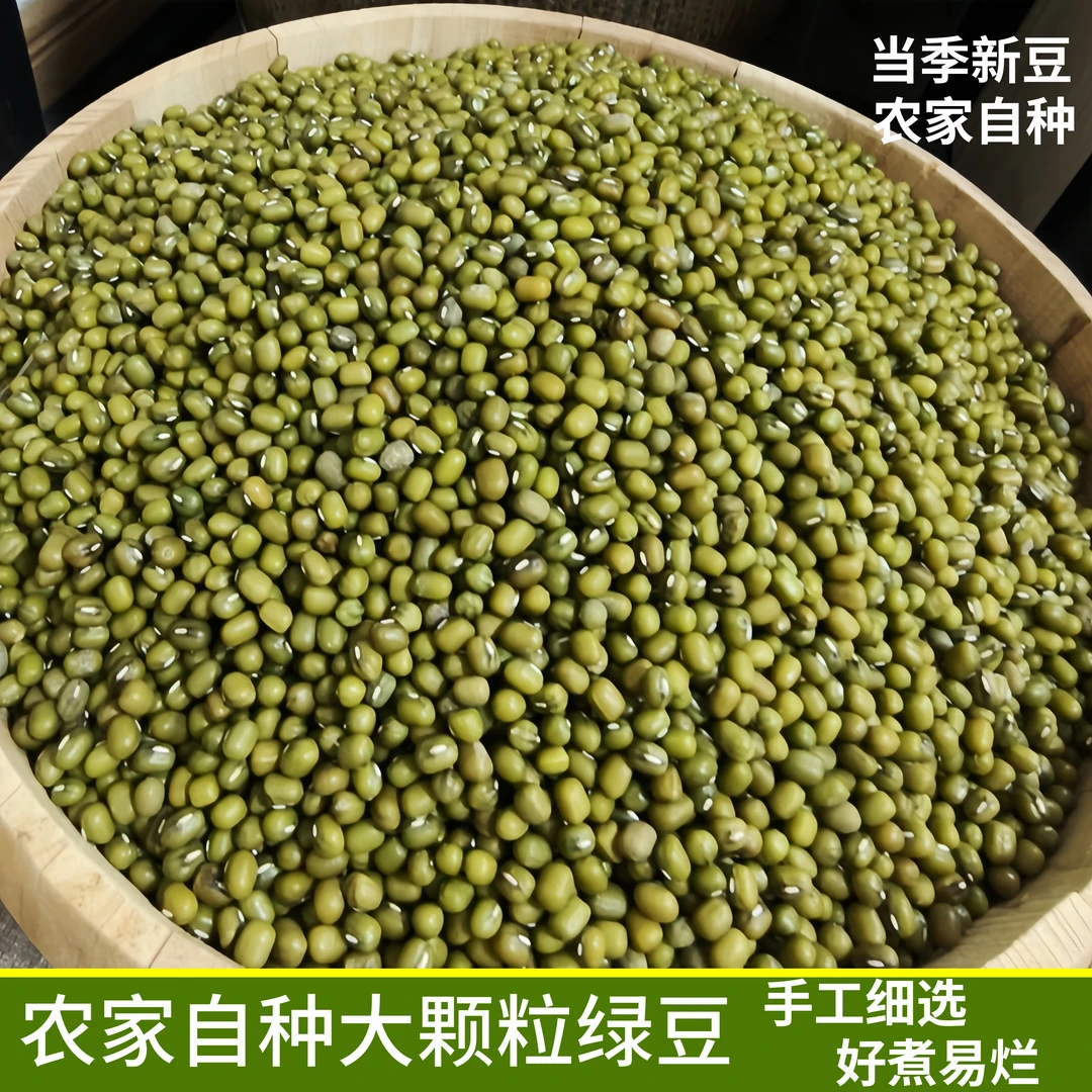 农家自种大颗粒绿豆1500g当季新豆好煮易烂手工细选送运费险