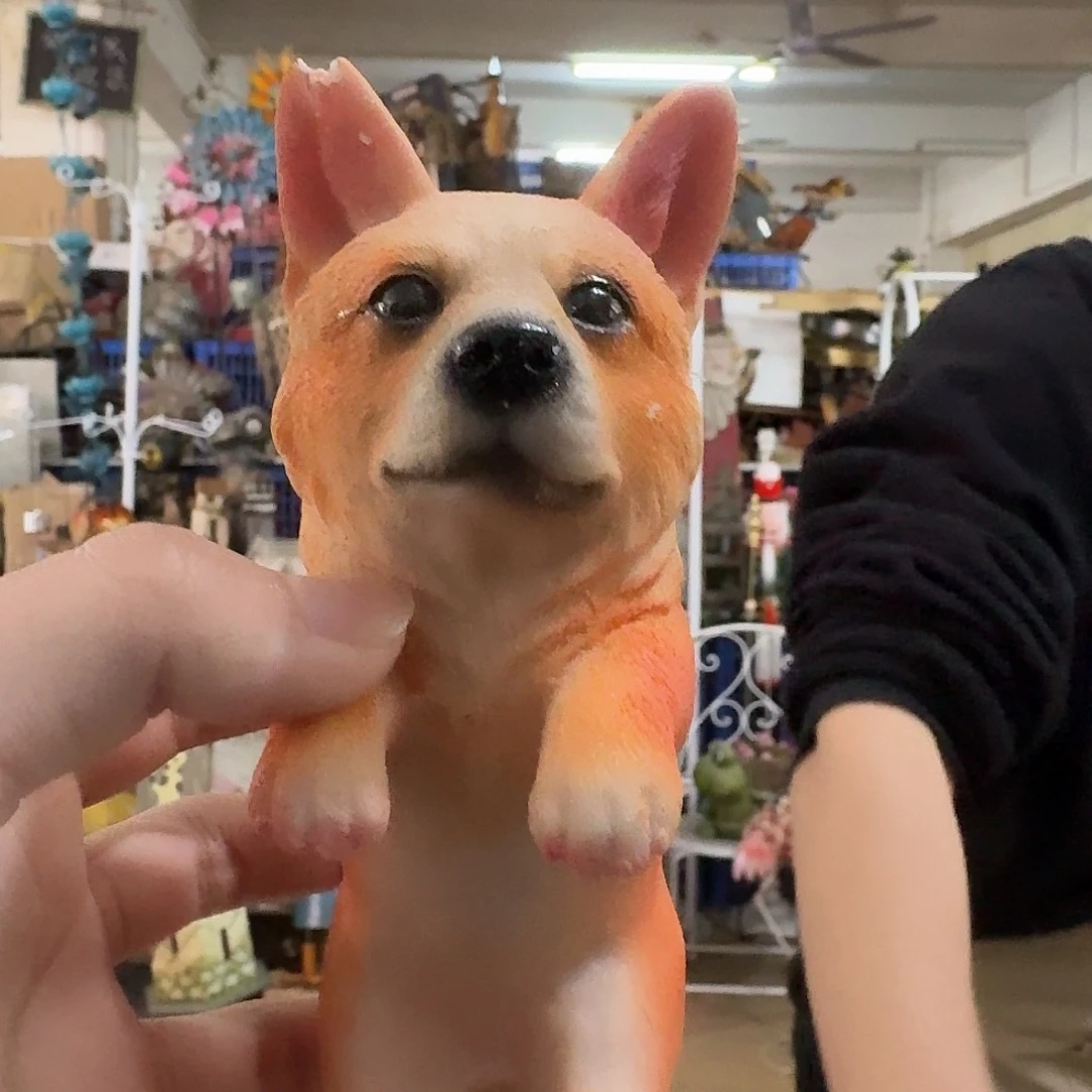 核桃木/黑胡桃（胡桃木）