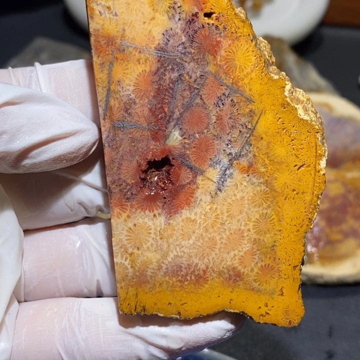 【闪购商品】未镶嵌珊瑚玉硅化玉