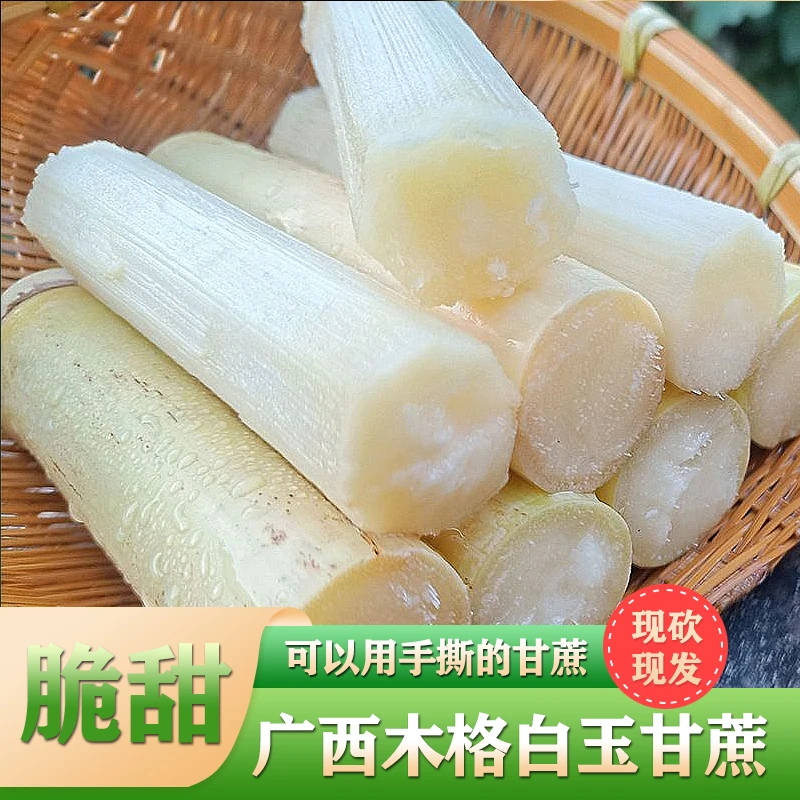 正宗广西甘蔗玉米农家自种食用皮薄多汁水果甘蔗源产地直发