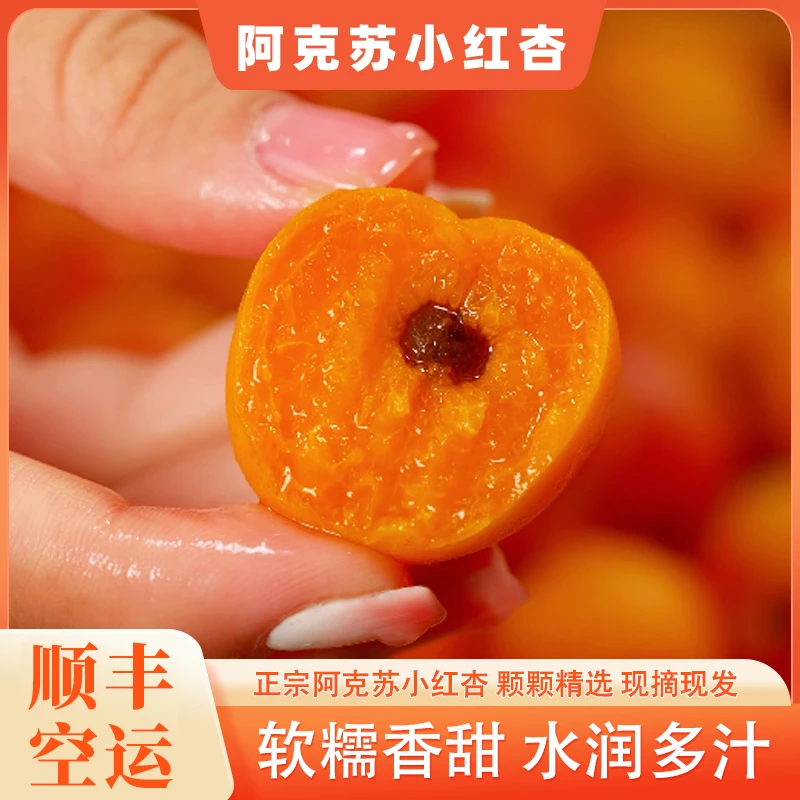 [新疆空运] 阿克苏小红杏新鲜应季水果自然熟吊干杏甜嫩多汁3斤