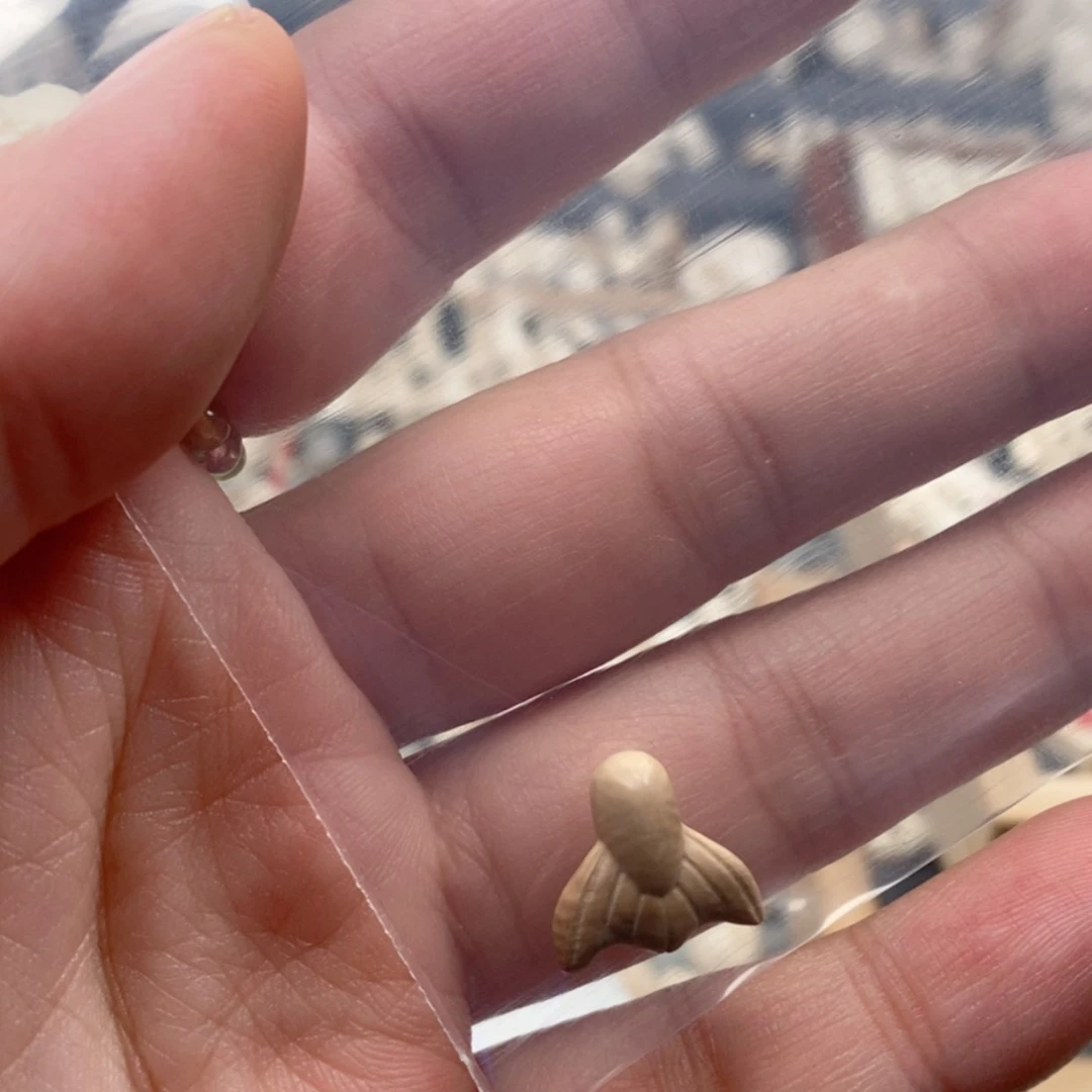 【闪购商品】无非金属H*猛犸牙