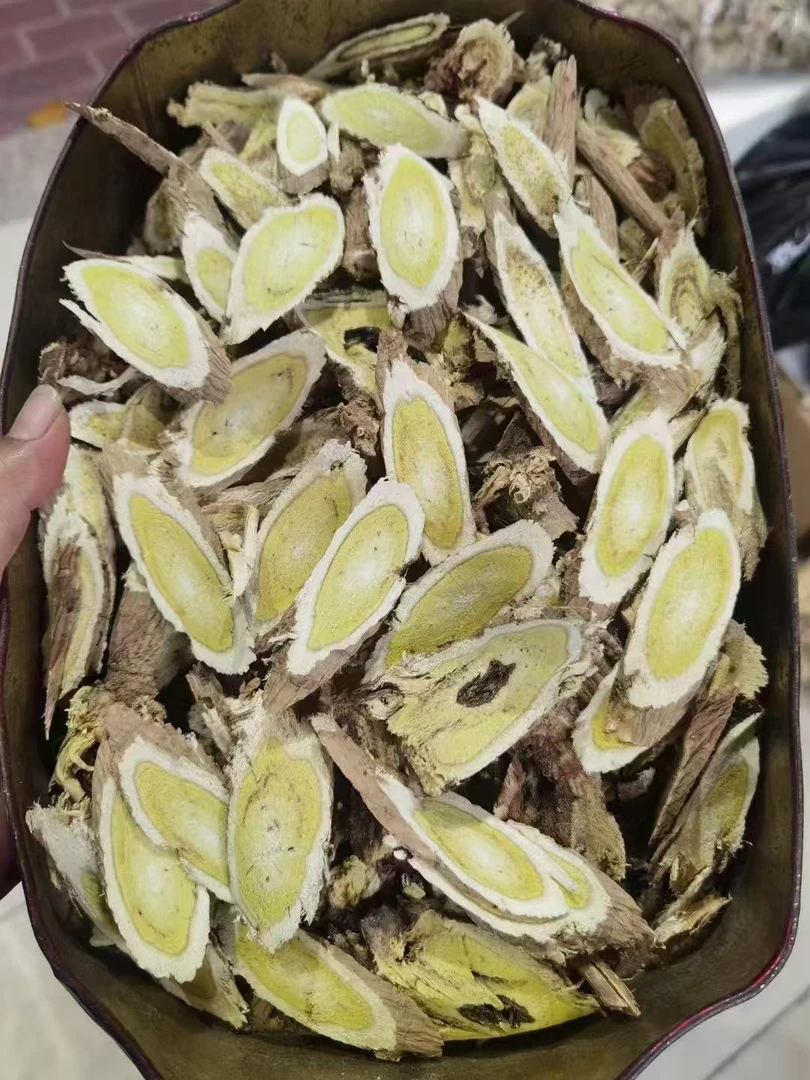 甘肃野生大黄芪条切片