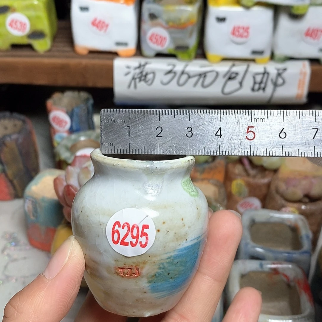 红陶拍5送一个小