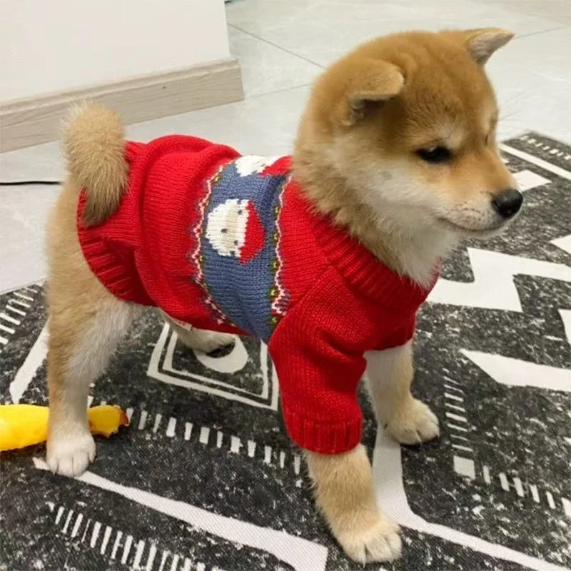 【自选小型宠物】柴犬比熊博美泰迪宠物狗狗JJ          围巾