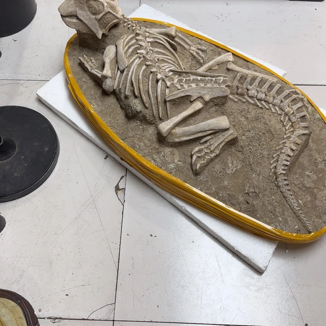 马***龙鹦鹉嘴龙摆件的一个