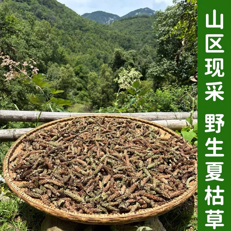 夏枯草 贵州夏枯草 夏枯球 大山采摘