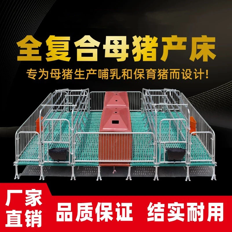 母猪产床热镀锌双体母猪产床欧式床母猪产床定位栏保育床厂家直销