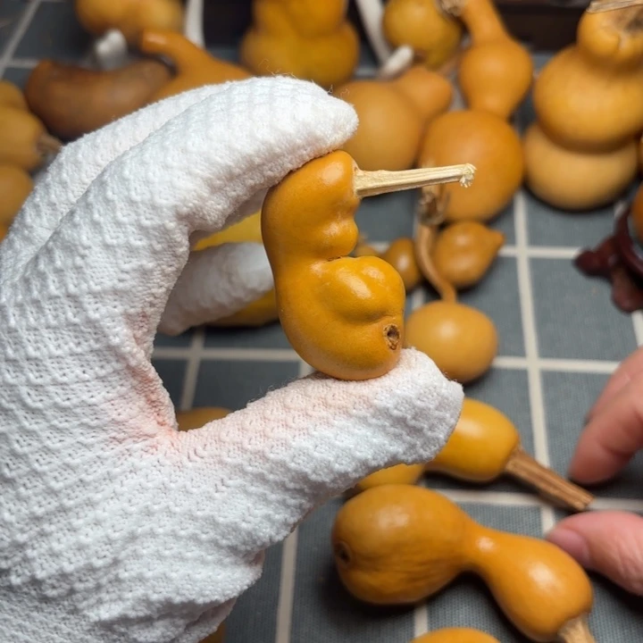 蛋***耶葫芦印橘皮裂66666666