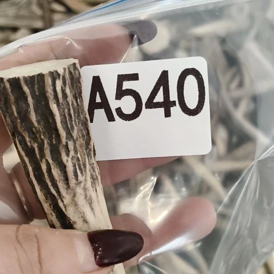 闲***事鹿角鹿角鹿角鹿角鹿角