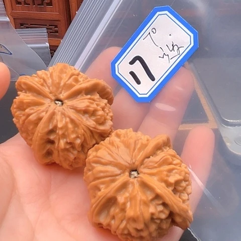 文玩核桃吊坠美****神雨化石