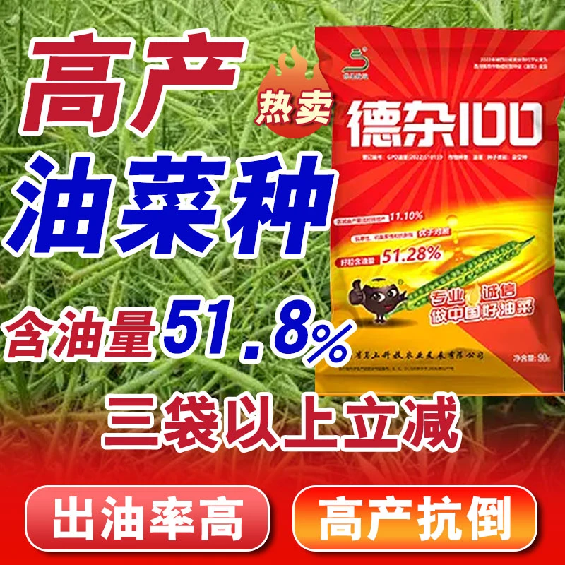 【德杂100】正品杂交德杂100高产油菜种子籽粒饱满出油率高