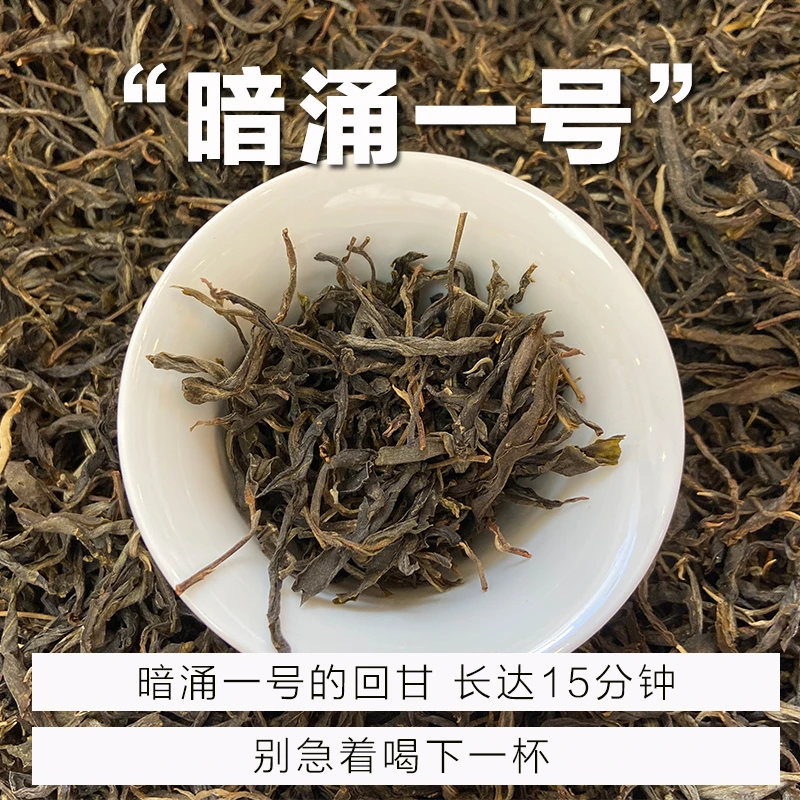 暗涌一号︱回甘持久王︱2023年头春普洱茶生茶古树茶散茶