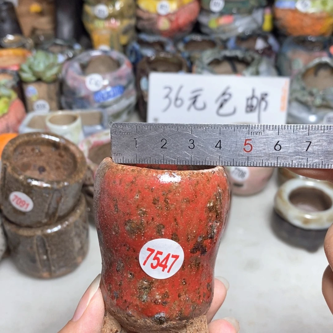 拍3送一个9.9拍5送一同款