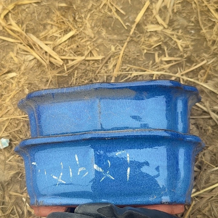 紫砂和铜合金三色眼影一款