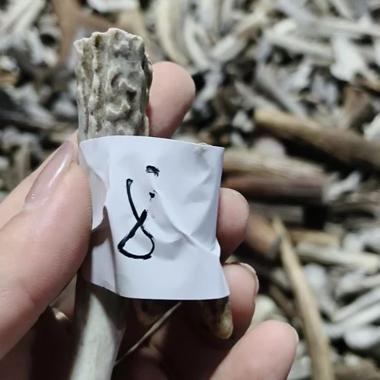 用***6陶瓷鹿角鹿角鹿角