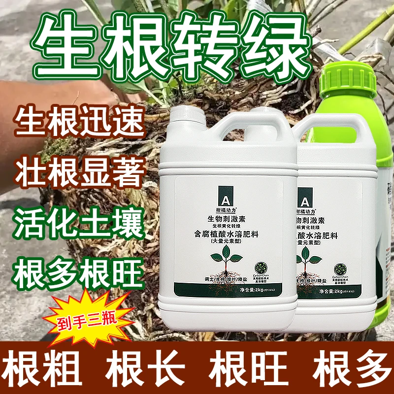 柑橘动力黄化转绿方案生根绿叶膨果调土壮苗海藻酸小分子活性提高