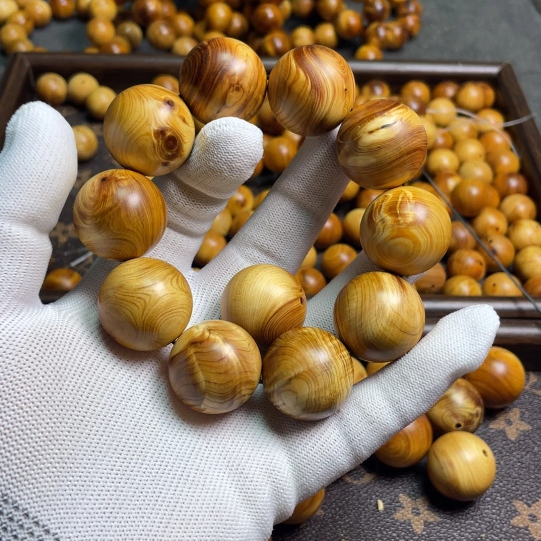 柏木太行2.5的乱纹龙胆