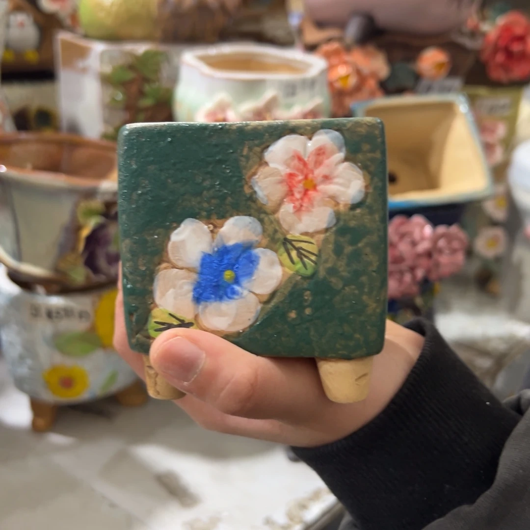 满20米秒退拉黑花盆