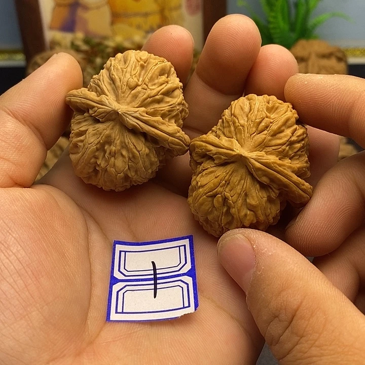 文玩核桃把件37白狮子