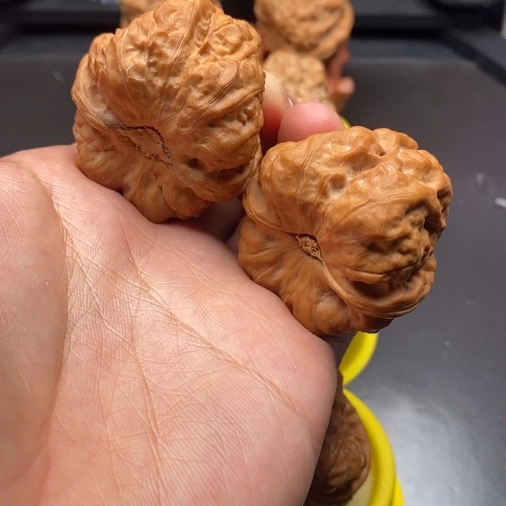 42尺矮壮大肥蛙蛤蟆头
