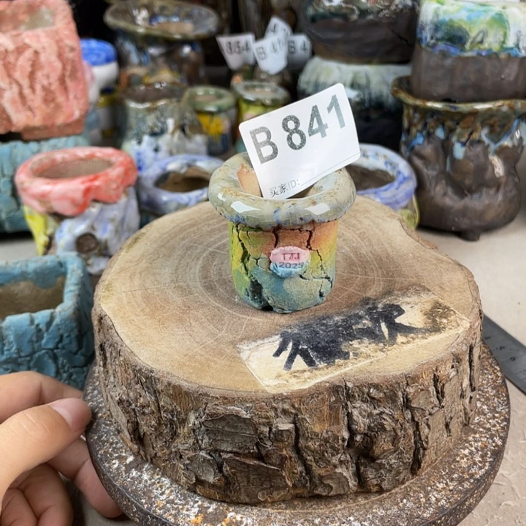 陶瓷花盆 开播福利，默认微次