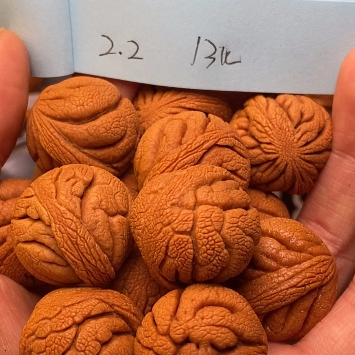 吊坠桃核秦岭龙纹桃核22尺寸