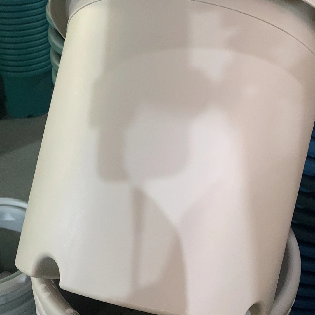 树脂特价6#无拖灰白7个