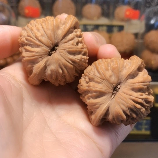 ?****?野生小众：绣球货头