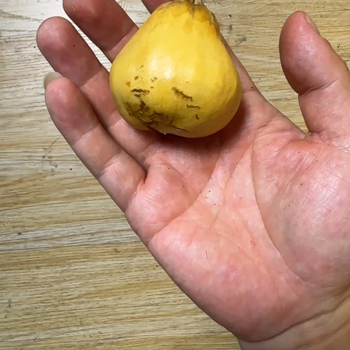V***9地方回家节能环保vv个发发发