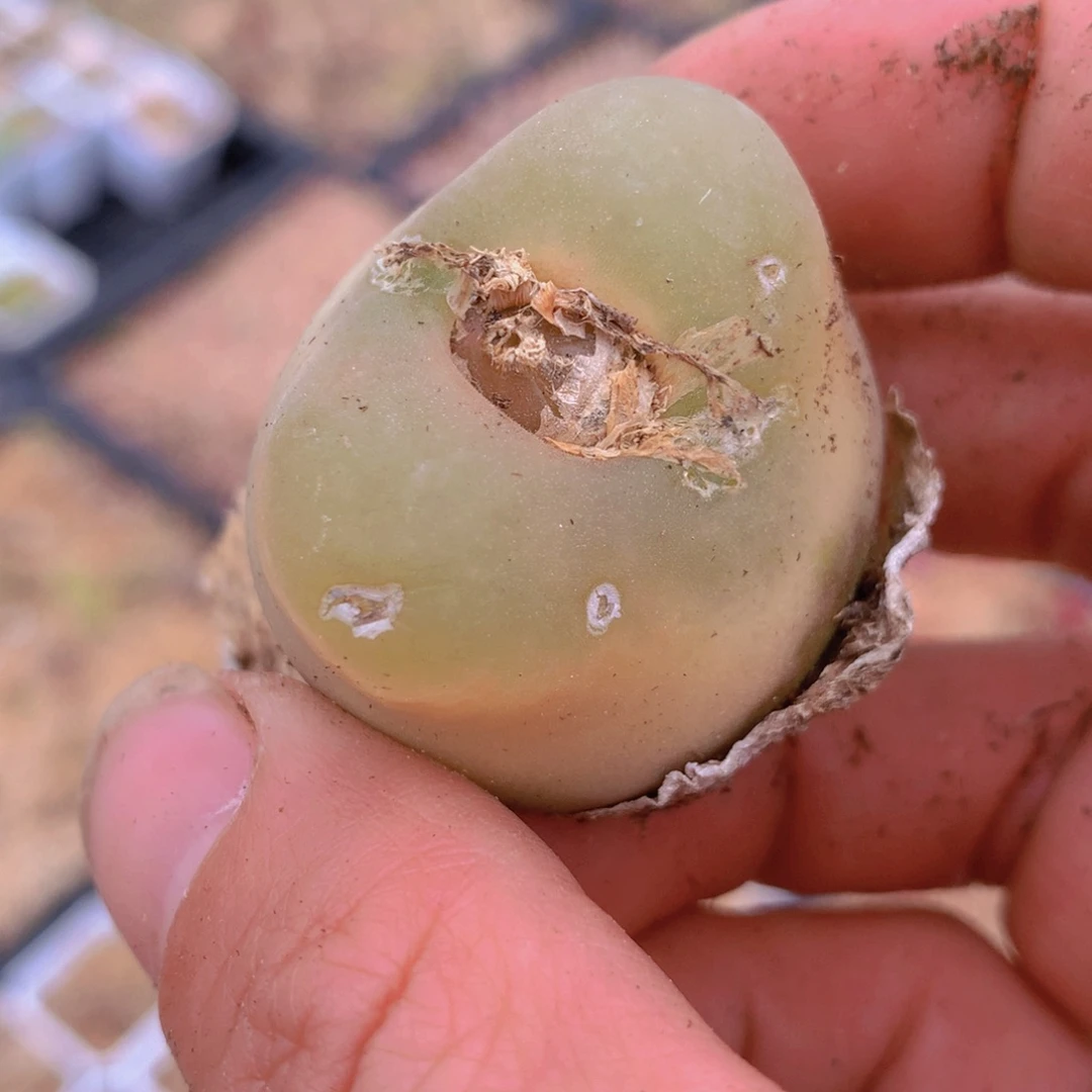 788888888588778585555555