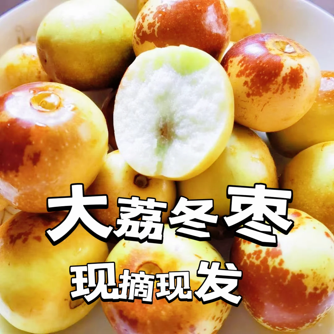 【现摘现发】陕西正宗大荔冬枣新鲜甜脆果园直发