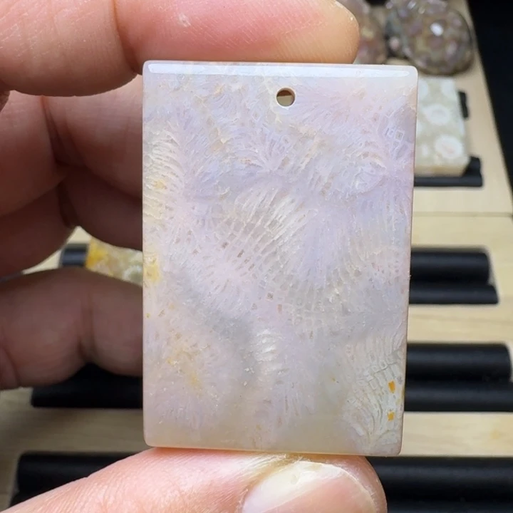 硅化珊瑚（珊瑚玉）未镶嵌纯天然色有机玉石保真色