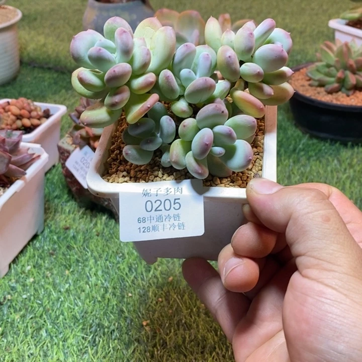 0205啊啊啊啊啊啊啊啊啊啊