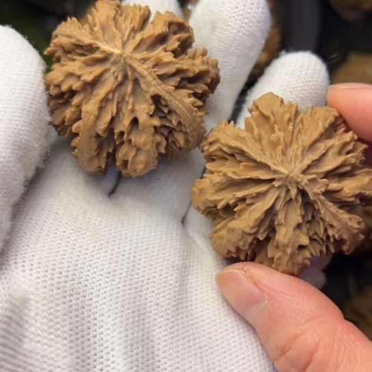 舞***T把件文玩核桃秦岭核桃5