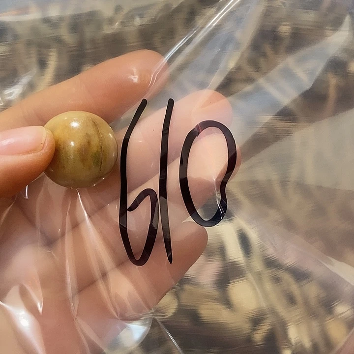 炼****无非金属鹿角鹿角鹿角鹿角