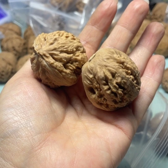 观***墨吊坠文玩核桃霸王龙39