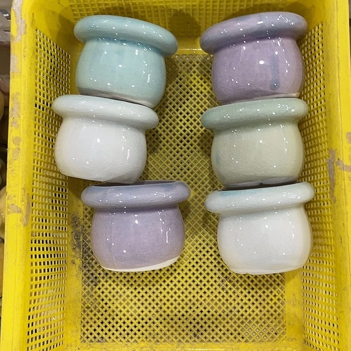 福利价陶瓷多肉拼盘