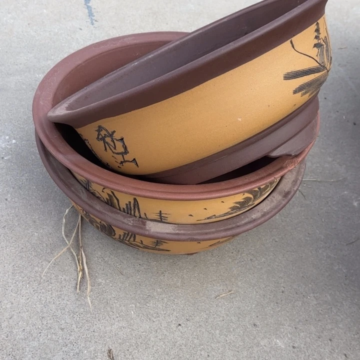 紫砂花盆             100-5